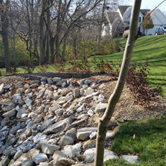 Renovated creek bed with a rocky shore