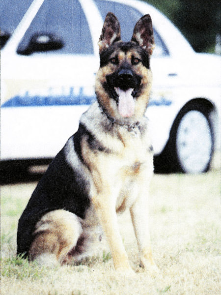 K9 Ares
