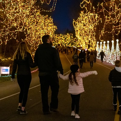 Enjoy over a mile of holiday displays and dazzling lights
