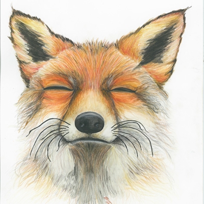 Dolores Jensen Art - Grinning Fox