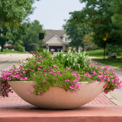 Decorative bowl of flowers on Fallon Parkway