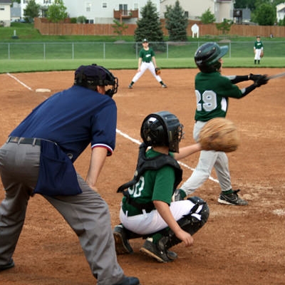 Seven natural grass fields are the main athletic draw for baseball/softball leagues and tournaments.